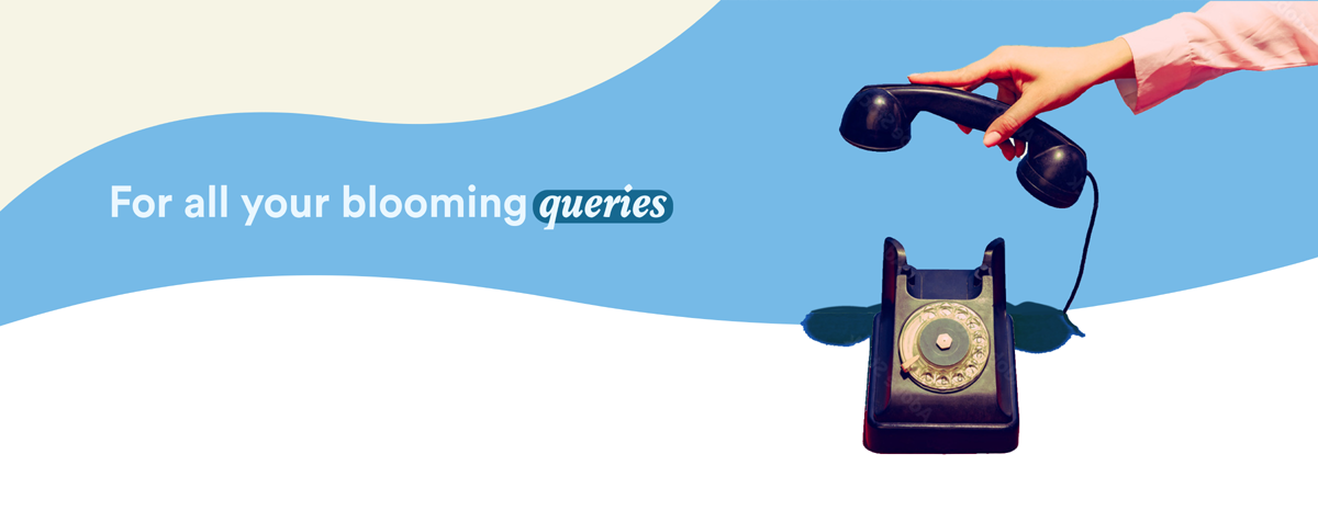 Bloom Contact Banner