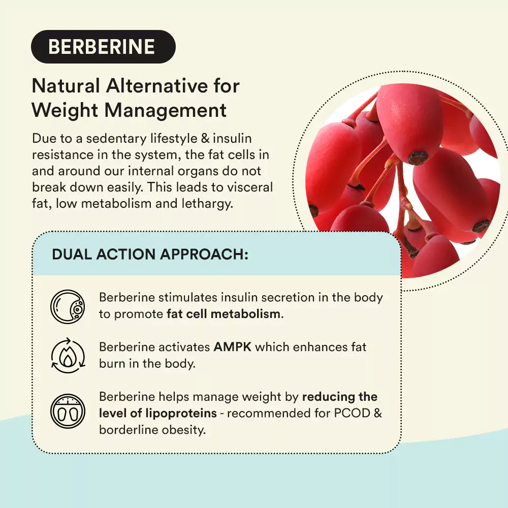 Embrace | For Weight Management