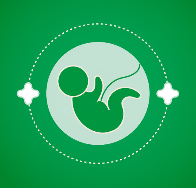 Pregnancy Care