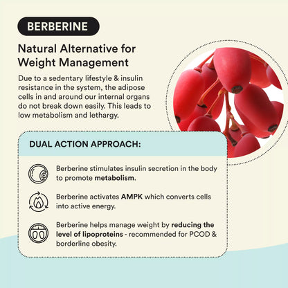 Embrace | Supports Weight Management